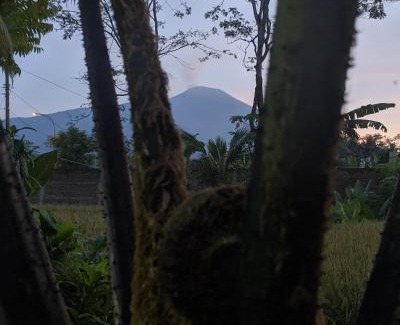 Baturaden Resort | RedDoorz At Jalan Raya Baturaden