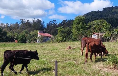 Picada Cafe House | Refúgio da Serra