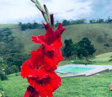 Monteiro Lobato House | Refúgio dos Moreiras