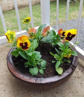 Bela Vista House | Refúgio dos pássaros