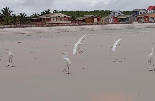 Braganca House | Refúgio dos pires - ajuruteua