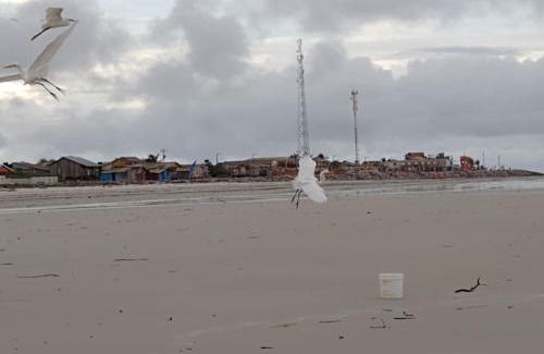 Braganca House | Refúgio dos pires - ajuruteua