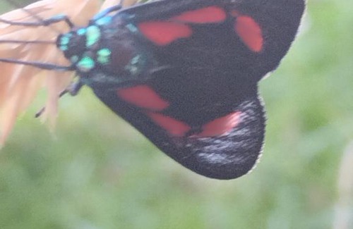 Duitama Apartment | Refugio Flores de María