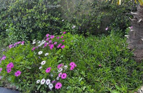 Valparaiso House | Refugio Laguna verde