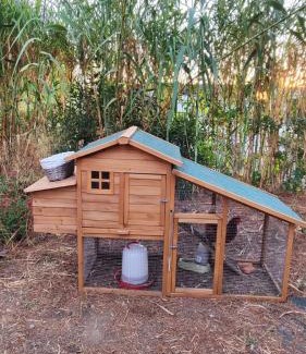 Albacete House | Refugio madera estilo árabe con estatuas, estanques y un pequeño zoo