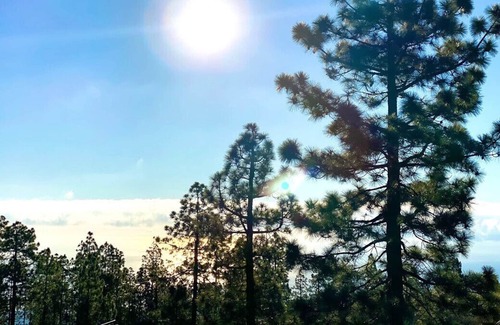 Arico Cottage | REFUGIO MEDITACIÓN Y NATURALEZA