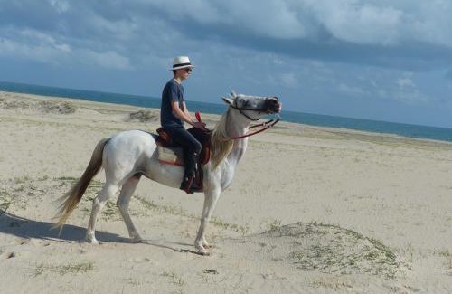 Parajuru House | Refugios Parajuru - Villa Alegre