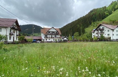 Moeciu de Sus House | Regina Munților B