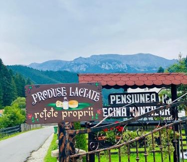 Moeciu de Sus House | Regina Munților B