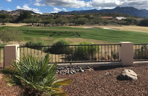 Saddlebrooke House | Relax With A Gorgeous Panoramic Golf Course and Mountain View
