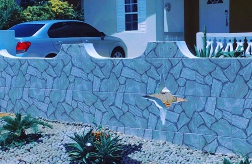Falmouth House | Relaxing peace of nature