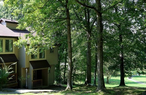 Cheat Lake House | Relaxing Townhome with Pool & Gym