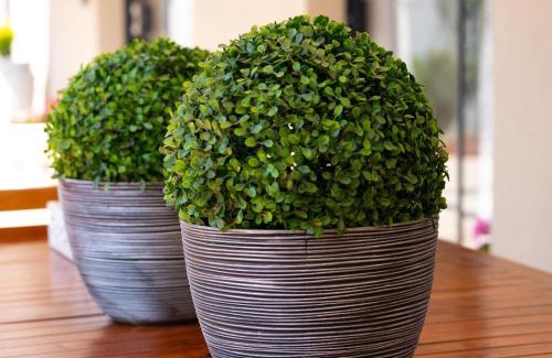 Modimolle Bed & Breakfast | Relmies Place