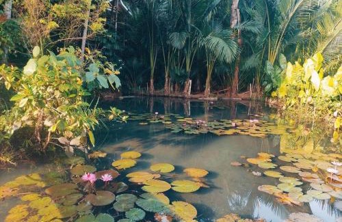 Siquijor Ski Chalet | Remote Home near Secret Lagoon with Motorcycle