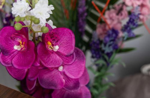 Adamas Apartment | Renalda House in the Port of Adamas