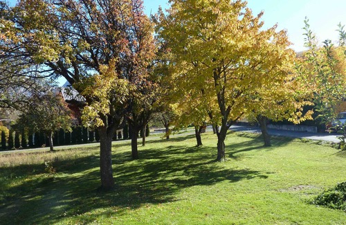 Risoul House | Rental apartment type 2 in mountain house in Risoul - 05600