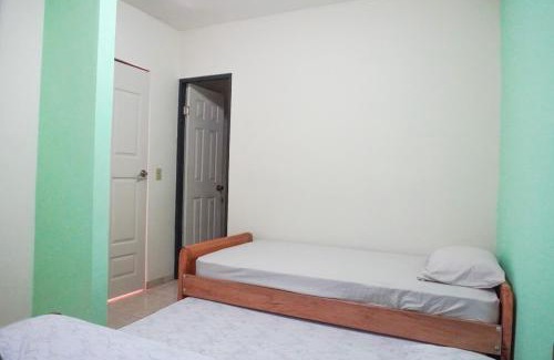 David Apartment | RequenaS