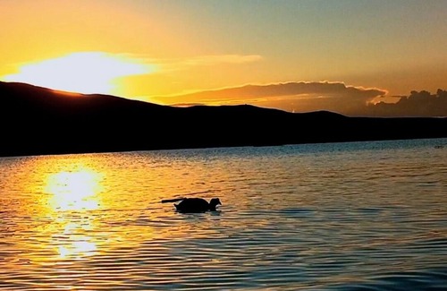 Puno House | Reserva tu Habitación en el Medio del Lago Titicaca Vive una Expercia Única