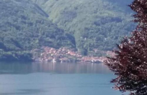 Tremezzo Apartment | Residence Belvedere Apartment Volesio