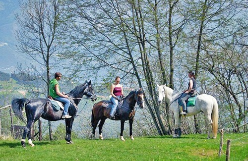 Campi Apartment | Residence Campi Voltino di Tremosine - IGS01354-DYB