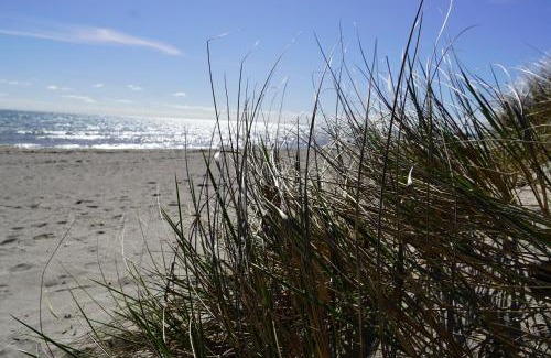 Grossenbrode House | Resort 2 Sea Lodge C 72