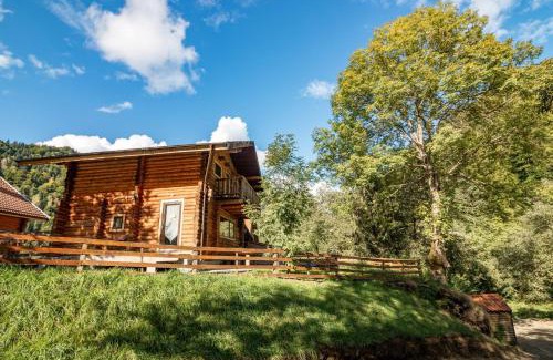 Zarnesti Ski Chalet | Resort 7 Crai - Cabana Calinet