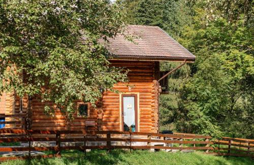 Zarnesti Ski Chalet | Resort 7 Crai - Cabana Calinet