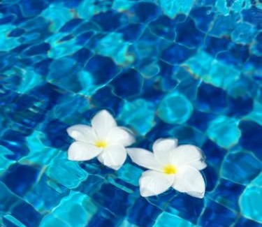 Basak Apartment | Resort Vibes Fully Furnished Condo in Cebu