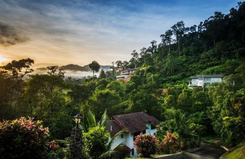 Janda Baik Villa | Rest Pause Rainforest Retreat