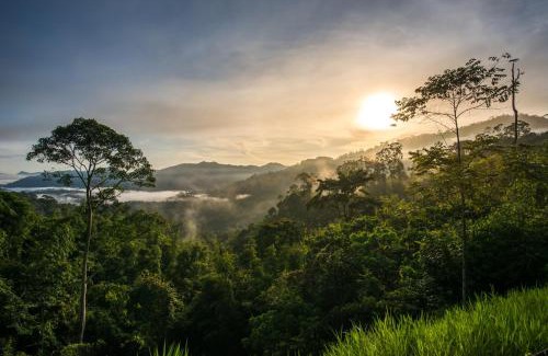 Janda Baik Villa | Rest Pause Rainforest Retreat