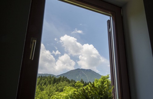 Slovenia House | Restored historical house with soul,great moutain views,