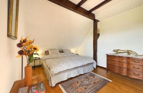 Gingsheim House | Retraite nature - Maison 150 m2 avec parking privé, balcon, brasero & ping-pong