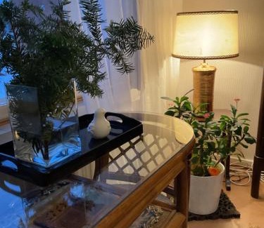 Tampere Apartment | Retrohenkinen taiteilijakoti - Tampere Kaleva