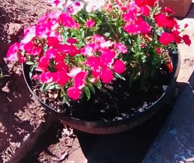 Maseru Apartment | RETZ Pink Barbie Dream House 2BDRM FREE WIFI, 3 Minutes Maseru Border