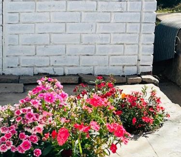 Maseru Apartment | RETZ Pink Barbie Dream House 2BDRM FREE WIFI, 3 Minutes Maseru Border