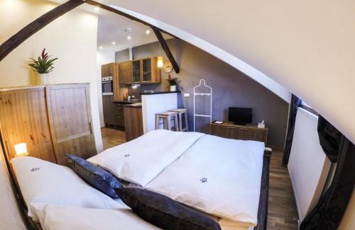 Pardubice Apartment | Rezidence Mandragora