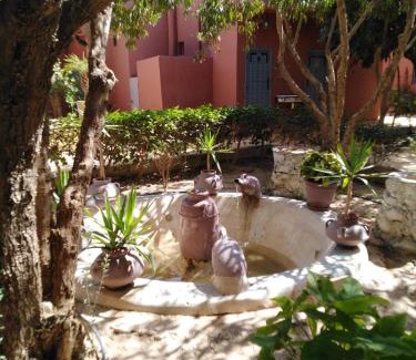 Taroudannt House | Riad les jardins Mabrouk