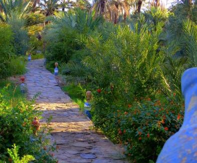 Amezrou House | Riad Tagmadarte Ferme d'Hôte