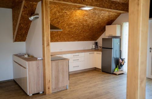 Bostanj Apartment | Ribnik Stari trg