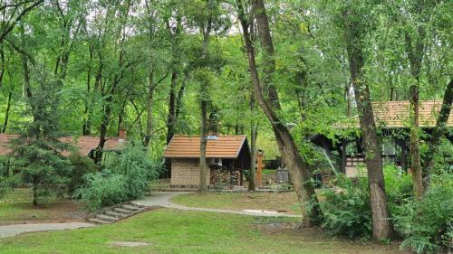 Aranyosapati Bed & Breakfast | Ricsika Panzió