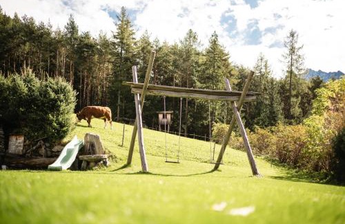 Campo Tures House | Rieplechn App