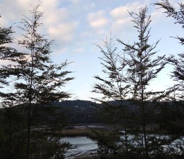 Chonchi House | Rincón de las ranitas