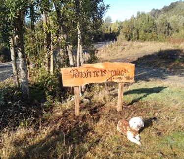 Chonchi House | Rincón de las ranitas
