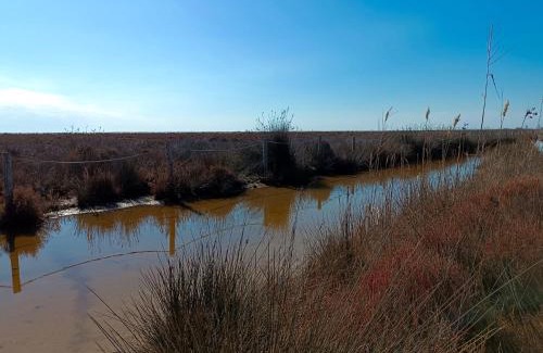 L'Eucaliptus Apartment | Rincón del Delta, apartamento en el Delta del Ebro, Playa Trabucador Amposta, Tarragona