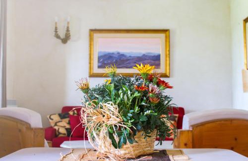 Sovicille House | Rinidia Bio