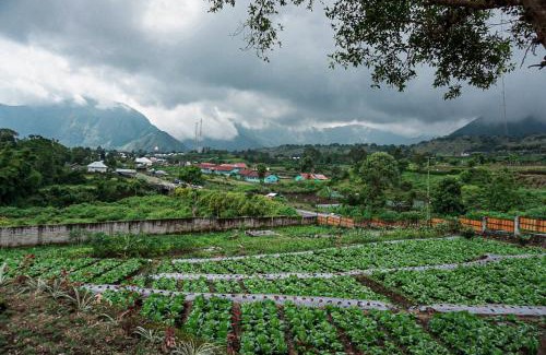 Kecamatan Sembalun Hotel | Rinjani Hill Hotel
