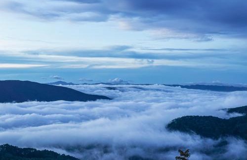 Da Lat House | Rio Skyhouse