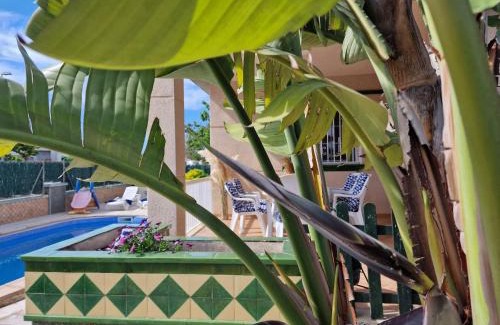 Riumar House | Riumar "Angeles", 210m to beach, private pool, On-Site-Service, dog beach