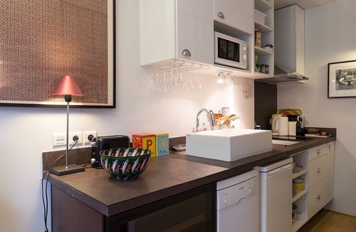 Saint-Victor Apartment | River Studio with Terrace/430 Sqft-40m²/Ile Saint-Louis