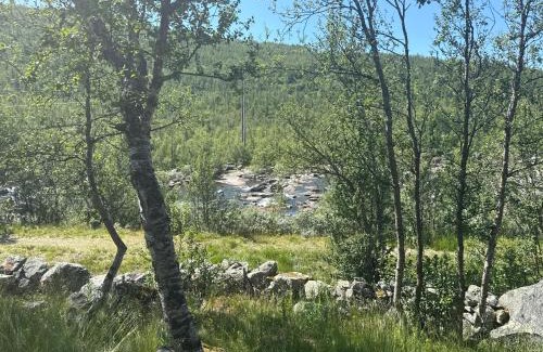 Hol Apartment | River view